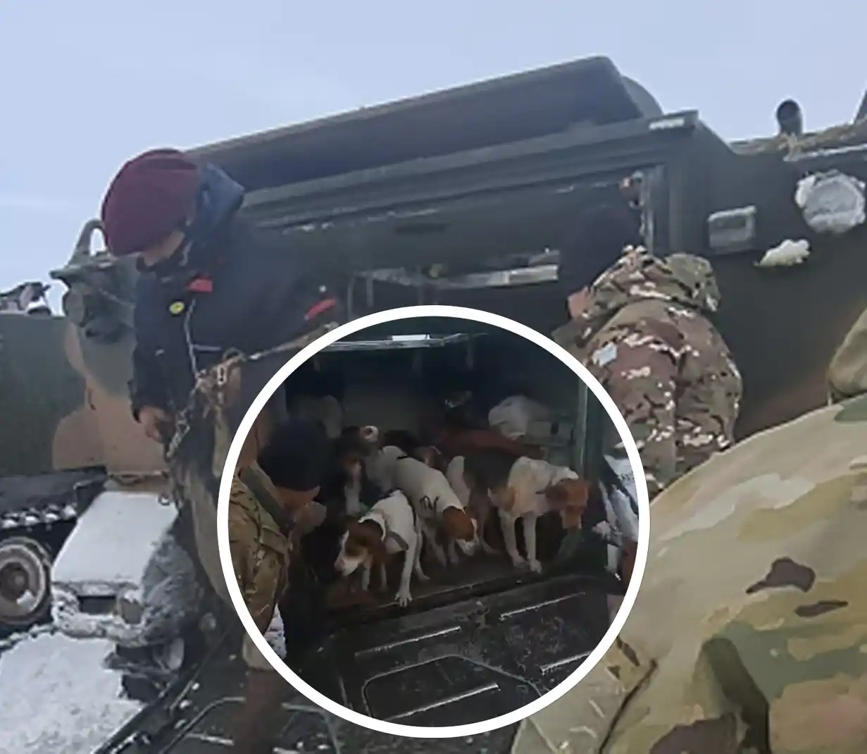 Santa Cruz: Así fue el rescate del puestero de una estancia, aislado por la nieve con sus 13 perros