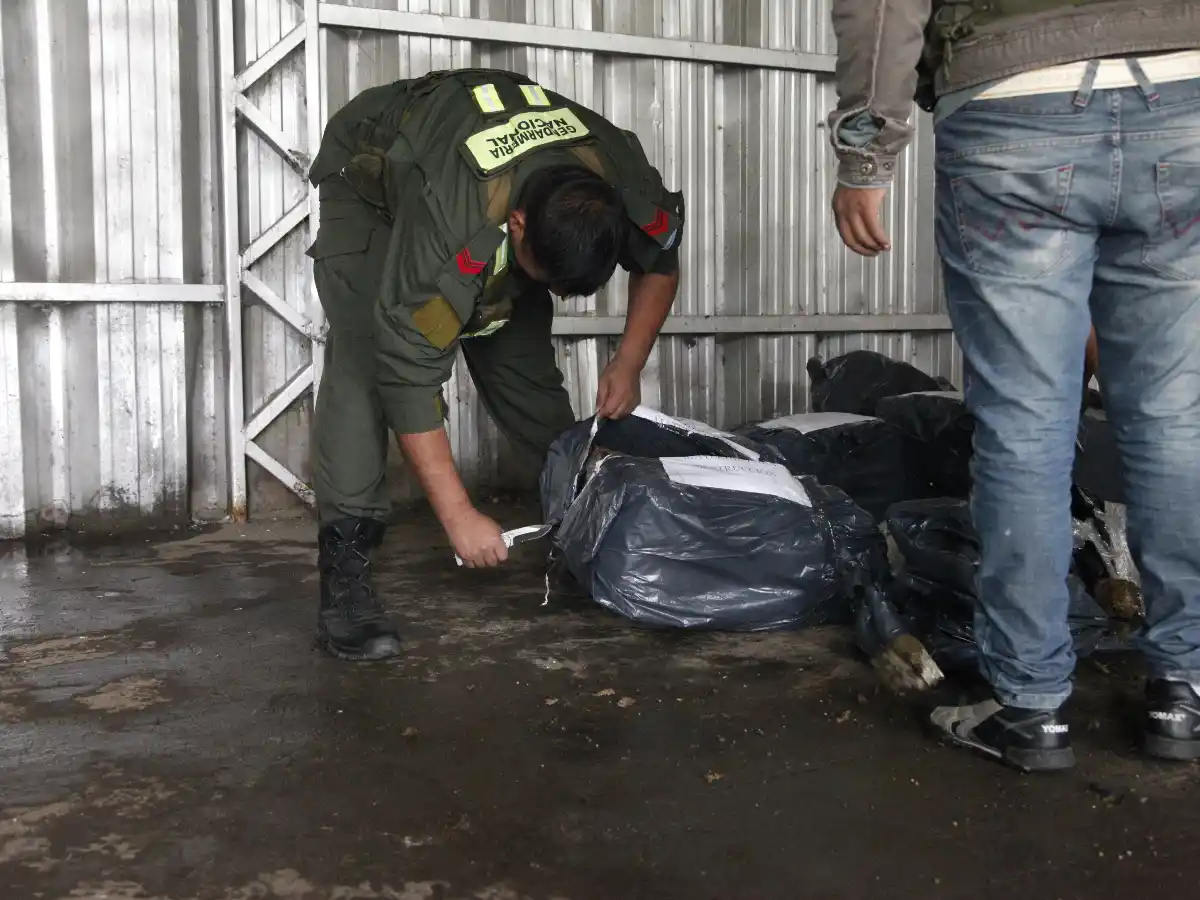 Incineraron droga proveniente de distintos procedimientos 