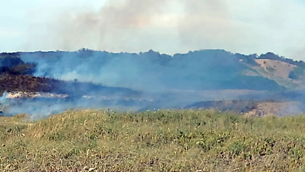 Incendio en Punta Carballido