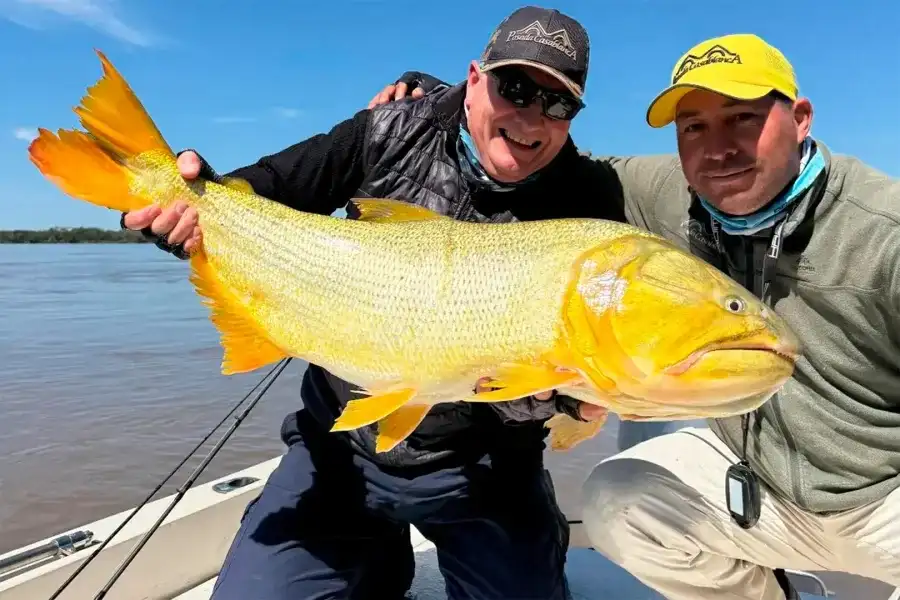 Capturaron un dorado de 17 kilos en Corrientes y lo devolvieron al río