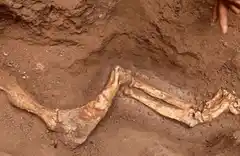 Nicolás Chimento participó de un hallazgo prehistórico en Gualeguaychú