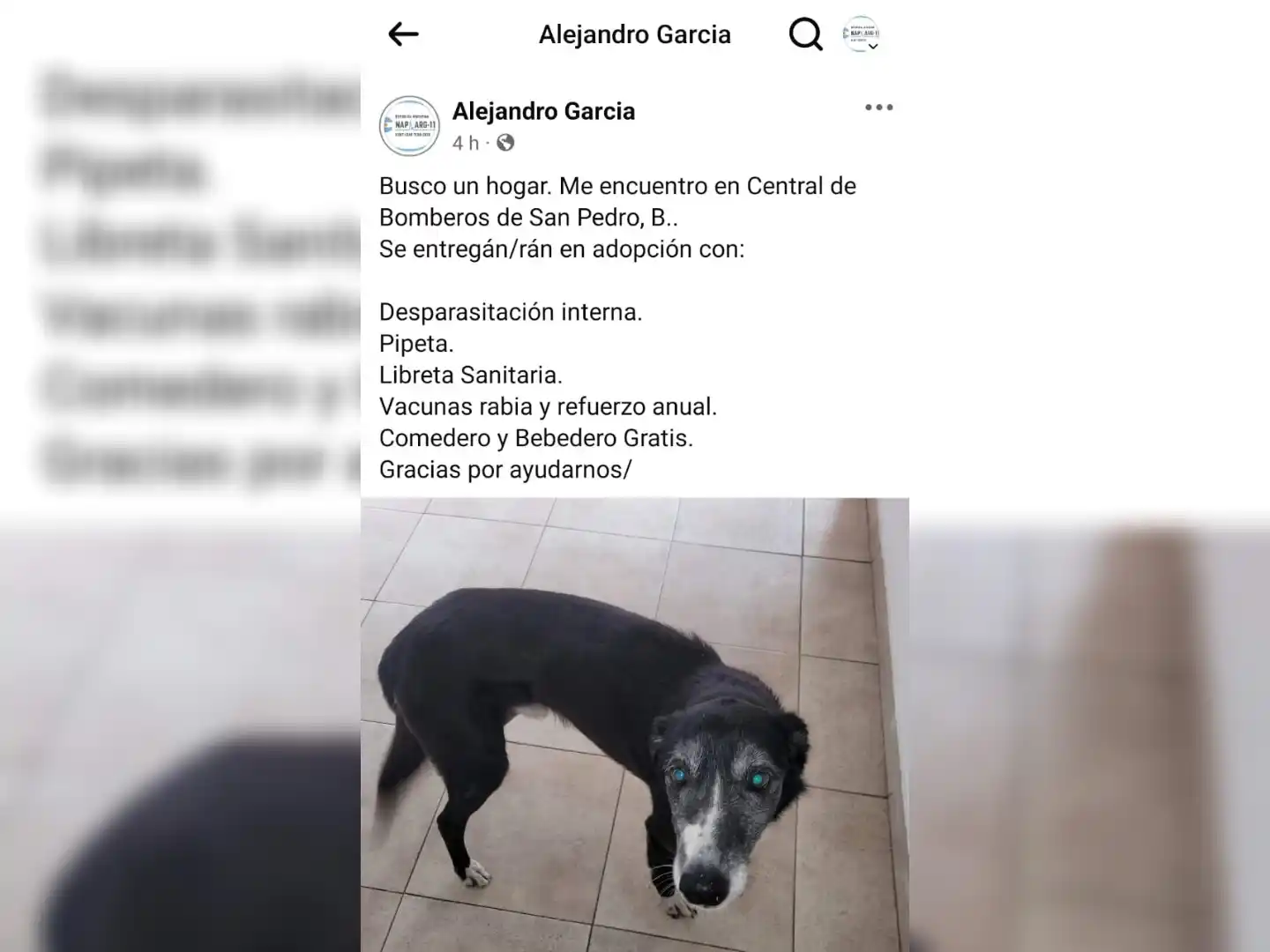 Ayúdame a encontrar un hogar