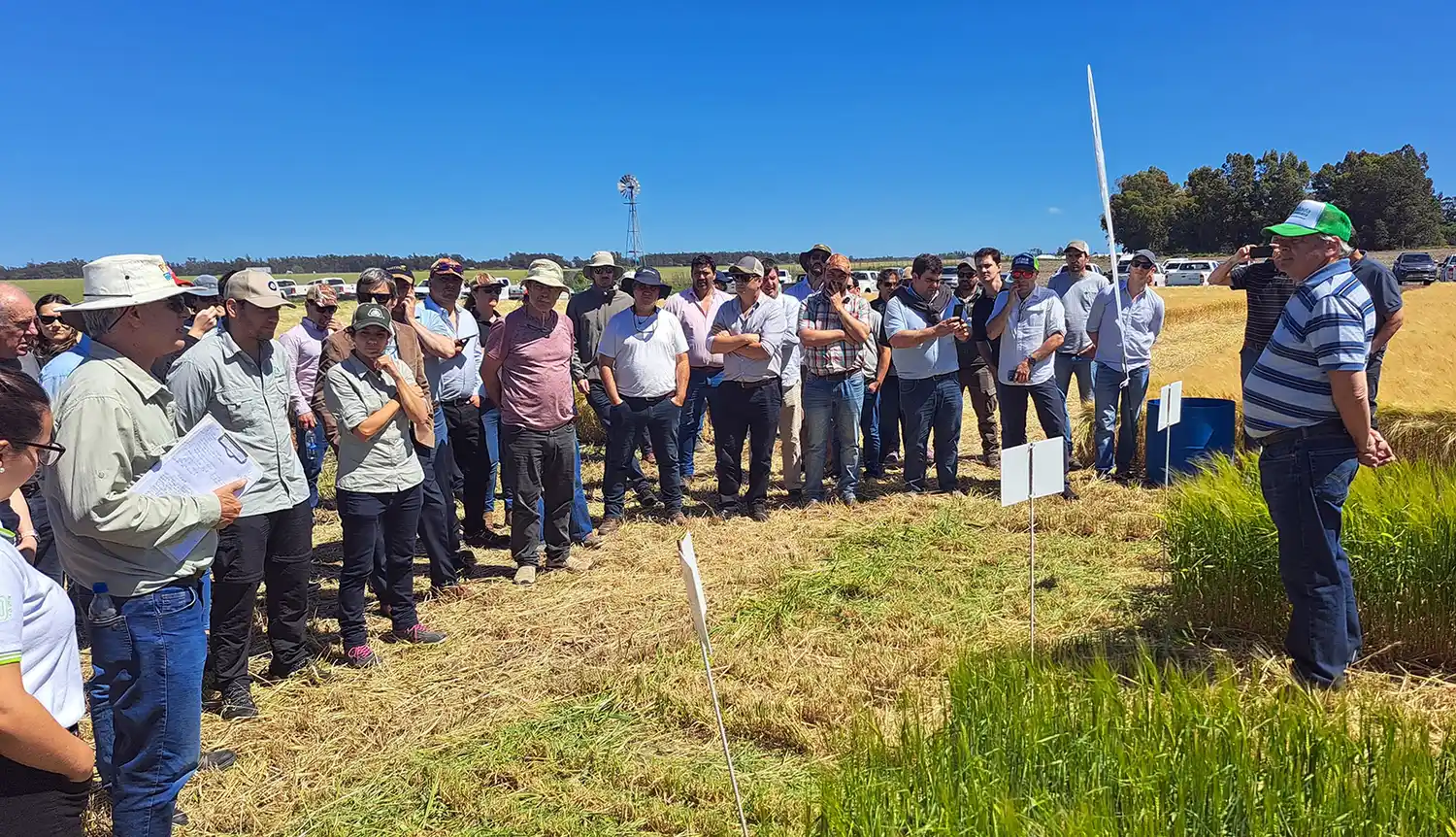 A campo. La recorrida de sembrados fue parte de la jornada