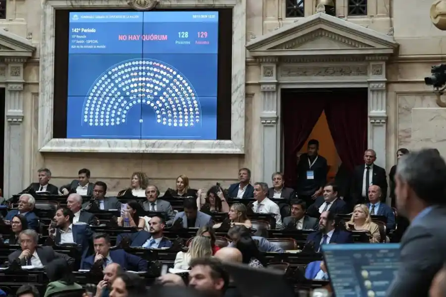 Fracasó en la Cámara de Diputados la sesión para debatir la democratización sindical