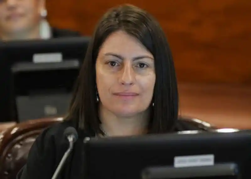 Laner propone excluir delitos de corrupción del juicio abreviado