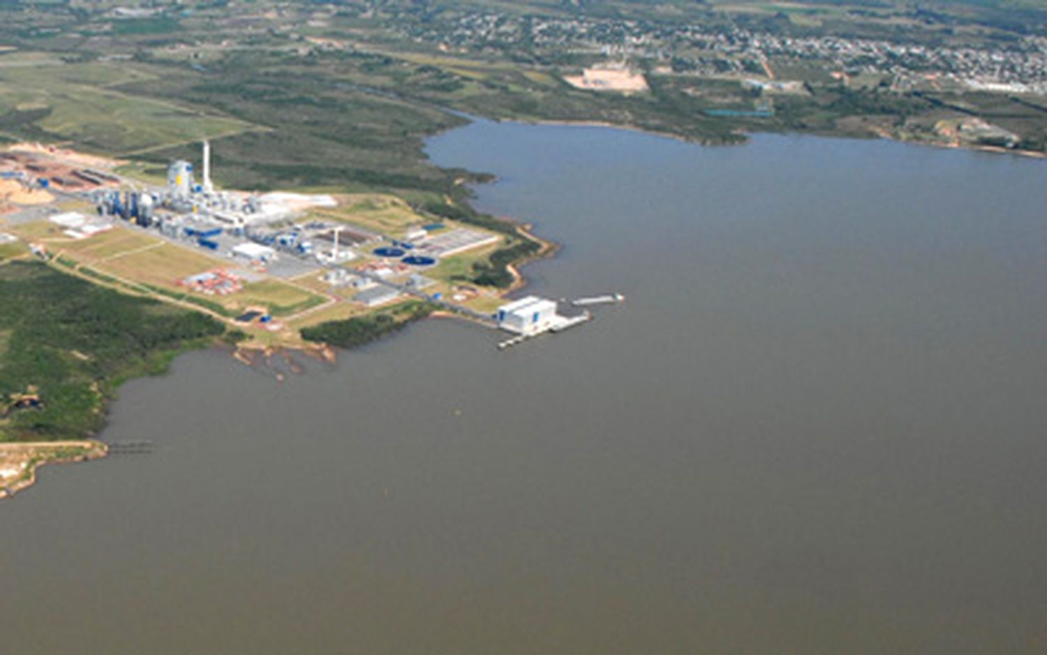 Preocupación por la presencia de algas en el río Uruguay por la contaminación