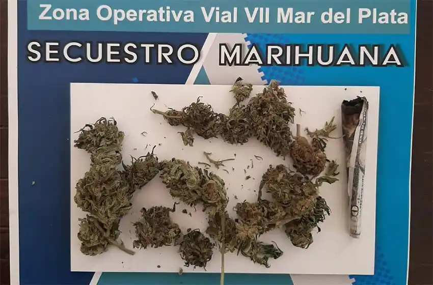 Operativos viales: alcoholizado y con marihuana por la ruta