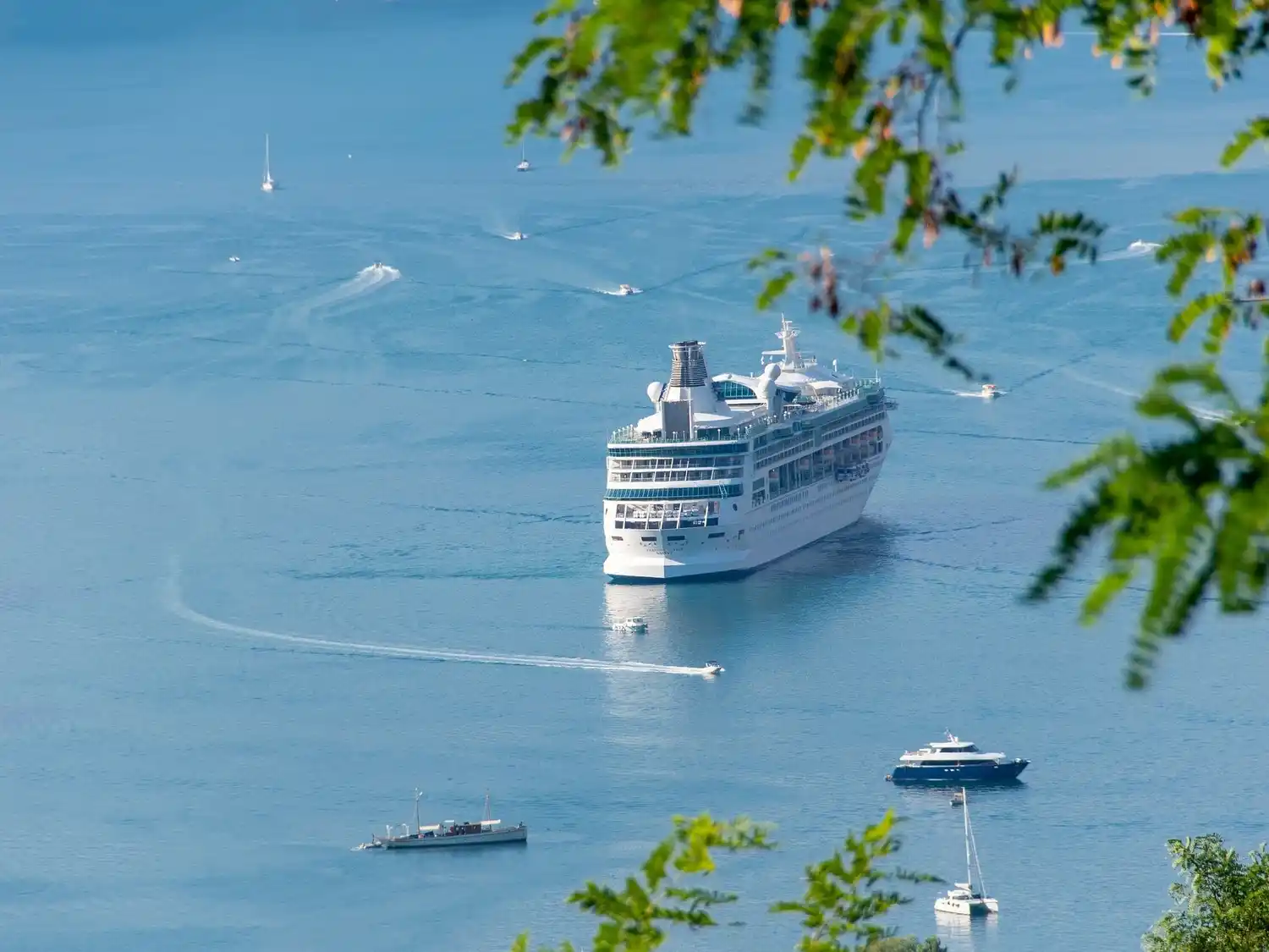 OMS revela las primeras hipótesis sobre el brote de hantavirus en un crucero