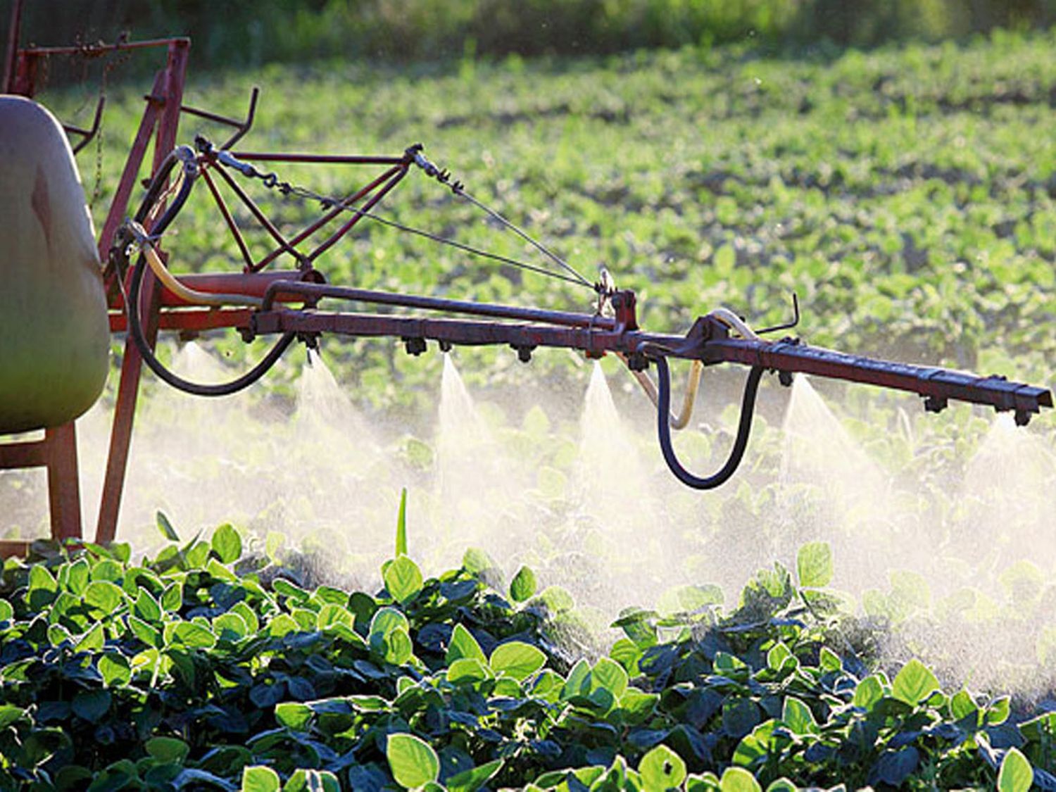 El SENASA creo el Sistema Nacional de Trazabilidad de Productos Fitosanitarios