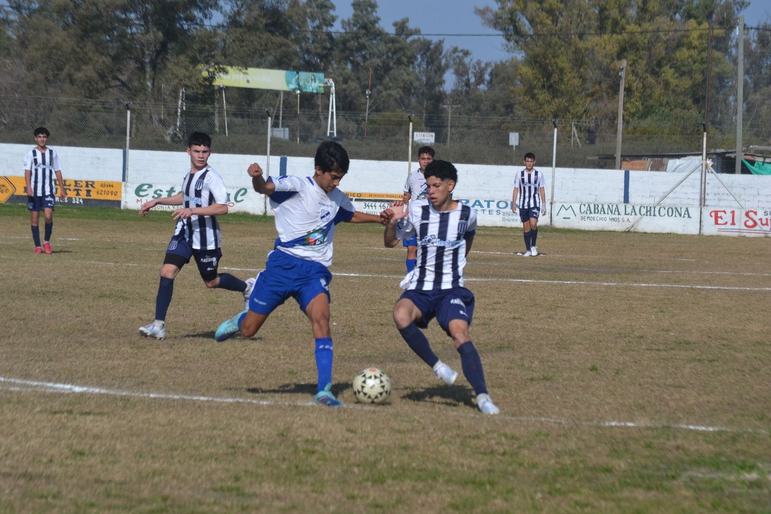 Intensa actividad en Divisiones Inferiores