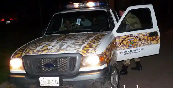 Roban 16 animales en Britos