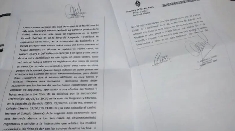 Olavarría: Proteccionistas denuncian enveneamiento masivo de perros