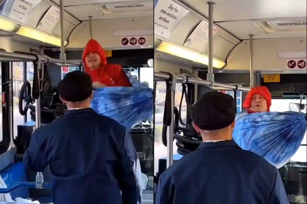 Una hamaca en el colectivo