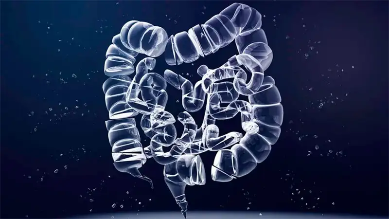 Descubren las células responsables de las recaídas en el cáncer de colon