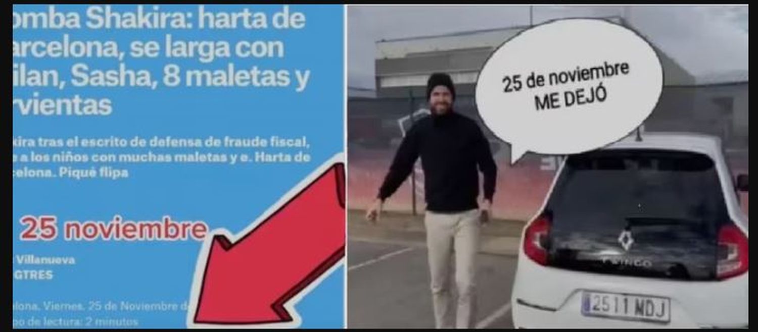 pique twingo - 2