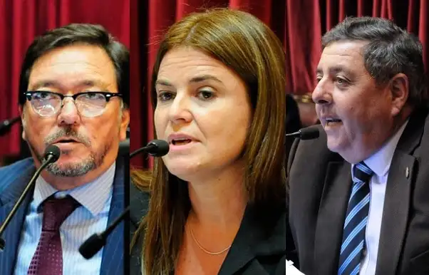 Tarifas: Cómo votaron los senadores entrerrianos la ley que luego fue vetada por Macri