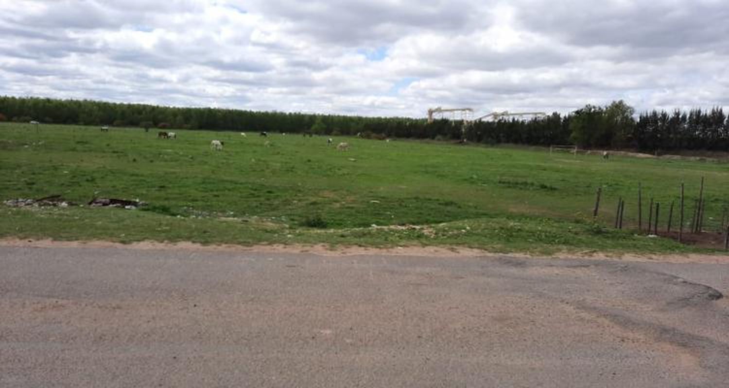 Operan en San Nicolás al niño de 8 años pateado por un caballo