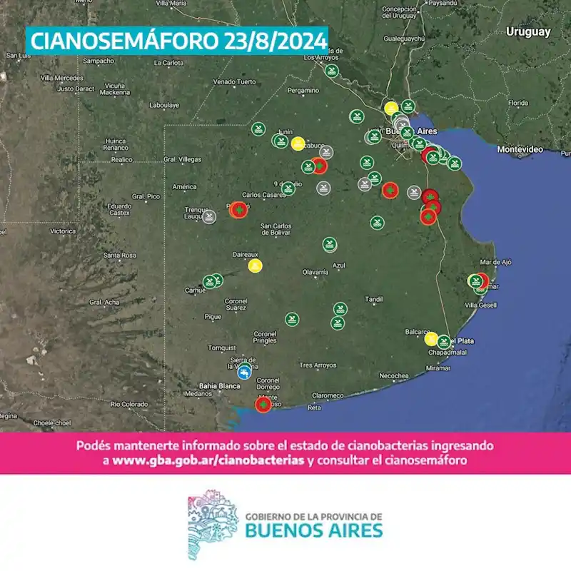 Cuatro municipios bonaerenses con alerta roja por cianobacterias