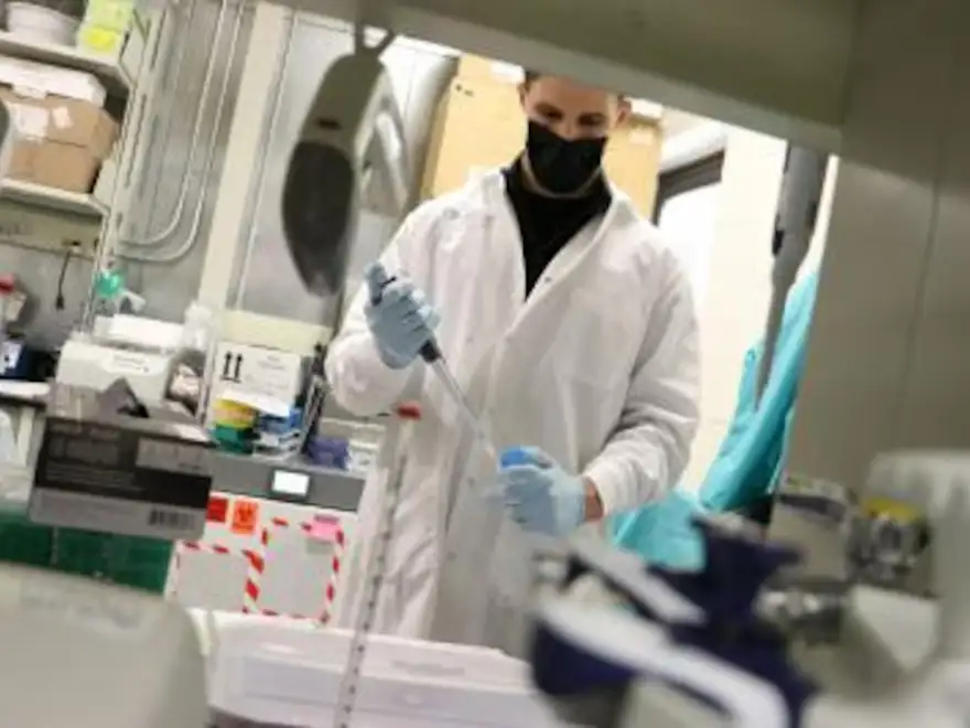 Hantavirus - 3