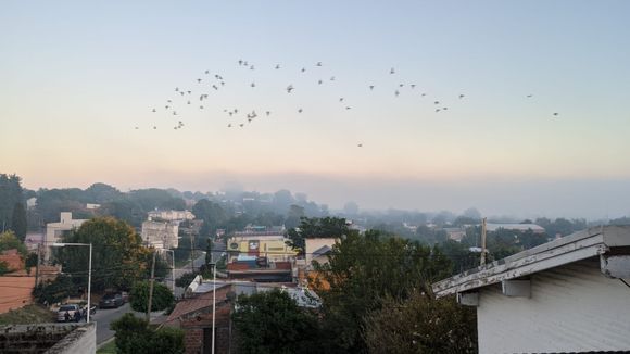 “Volvió el olor a humo”