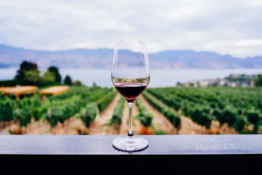 Hoy se celebra el Día Internacional del Malbec