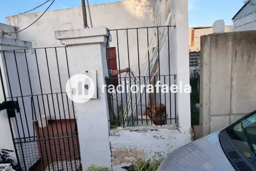 Llamativo hallazgo: encontraron un aguará guazú en un domicilio rafaelino