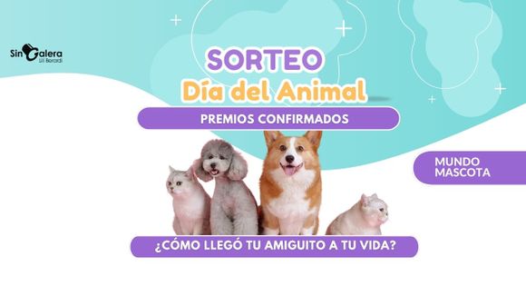 Mundo Mascota: estos son los regalos para el Día del Animal
