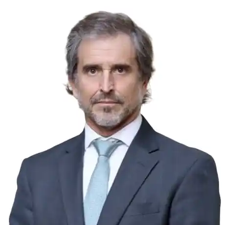 imagen Alberto Tiburcio “Bertie” Benegas Lynch