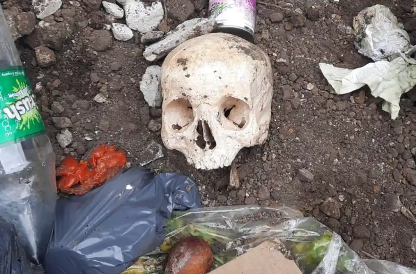 Un hombre encontró un cráneo en un contenedor de basura