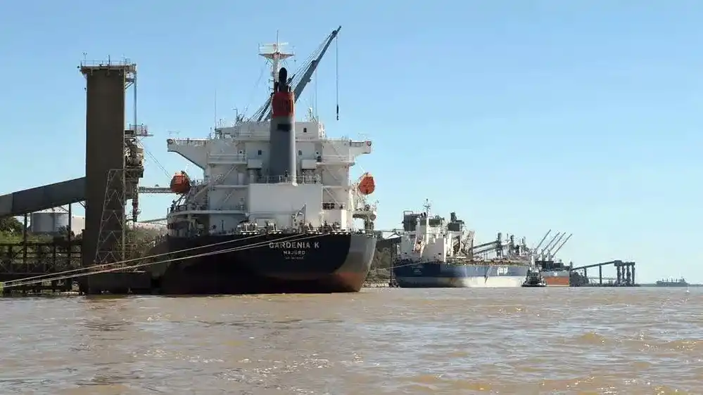 El sector agroexportador respalda el proceso licitatorio de la Hidrovía tras una audiencia pública.