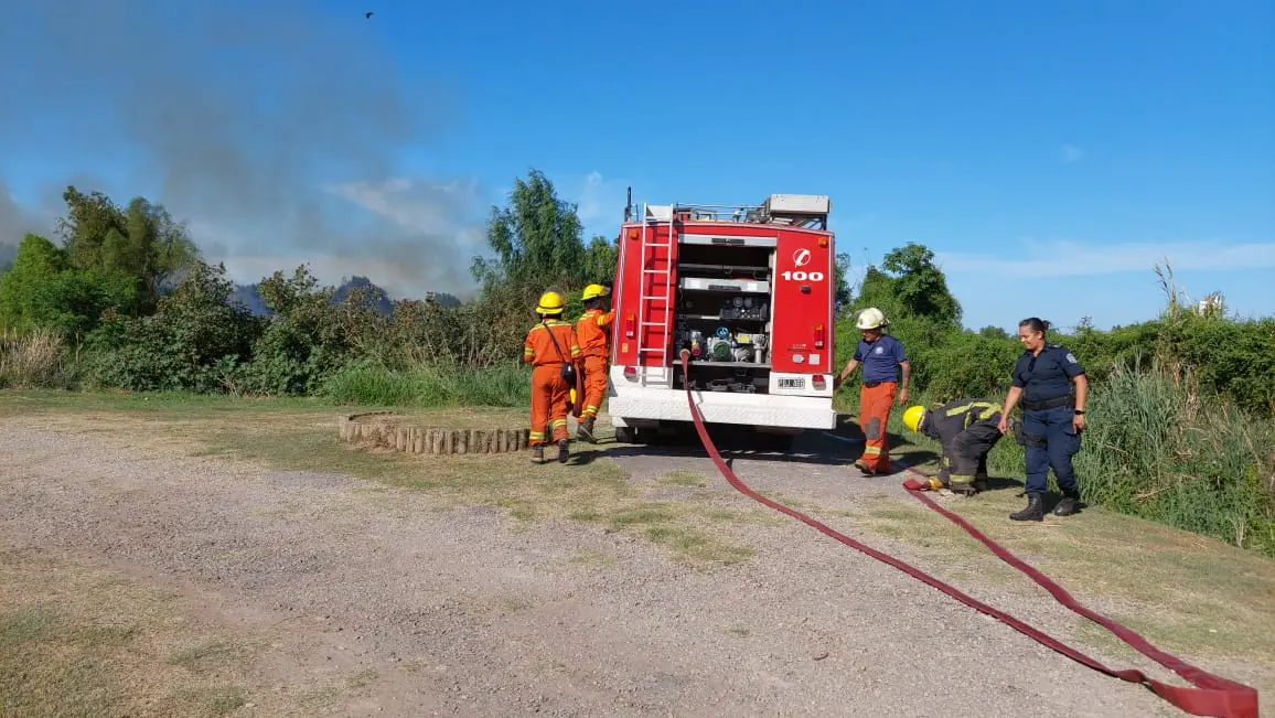 Incendio en el Paseo Público 2: “Está totalmente extinguido”