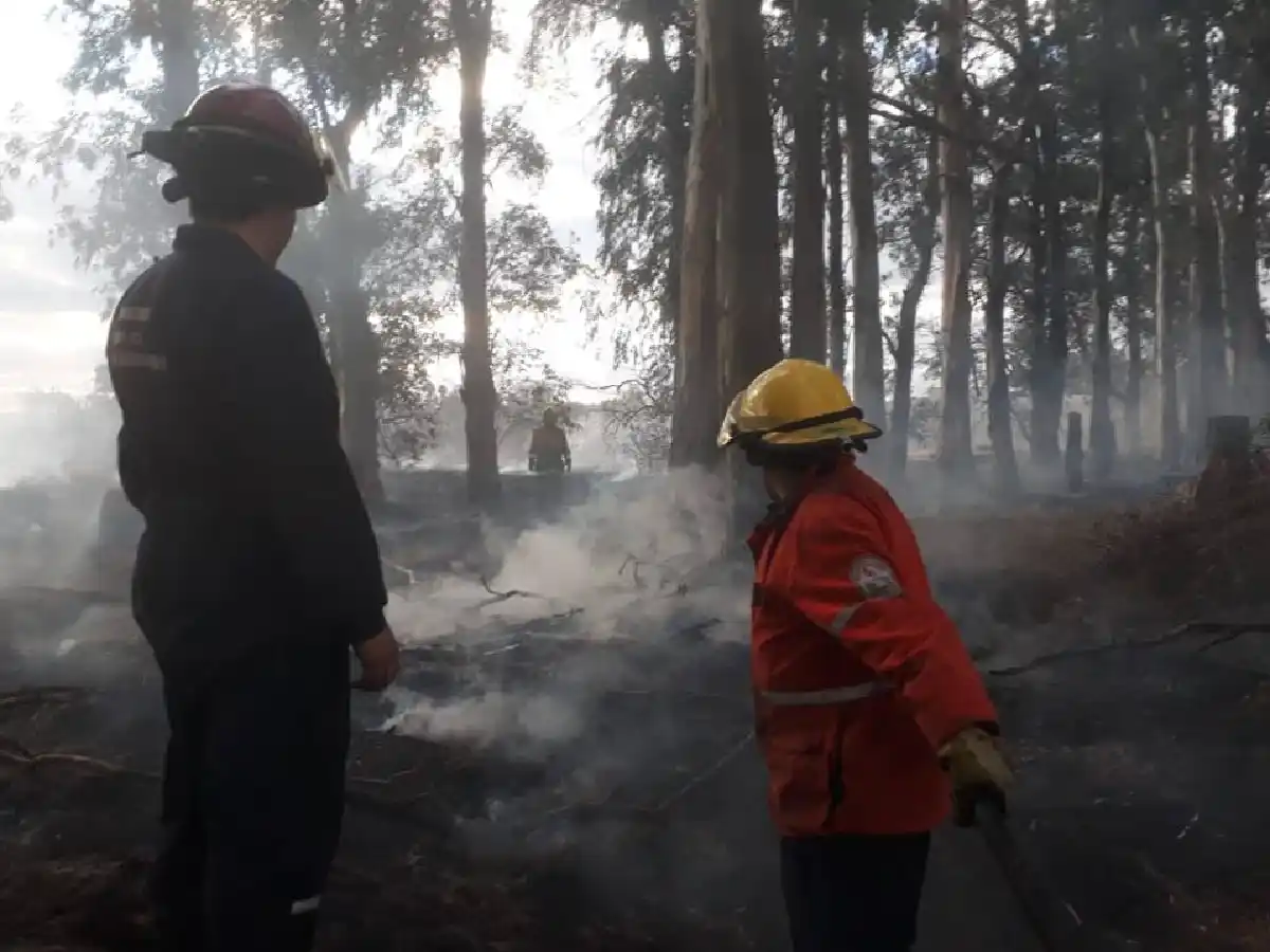 Los pastizales, nuevamente motivo de incendios 
