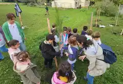 Se realizó una plantación de árboles en la Escuela N°33 de La Porteña