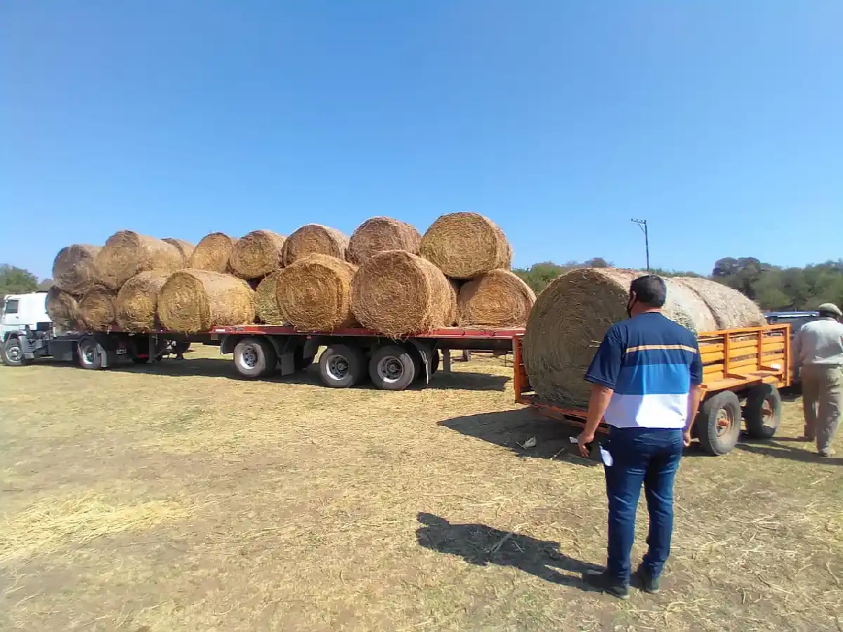  “Rollos solidarios” para alimentar a animales afectados por incendios   