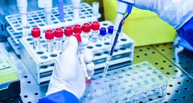 Coronavirus: con 11 nuevos positivos, San Pedro alcanzó los 425 contagios de personas hisopadas