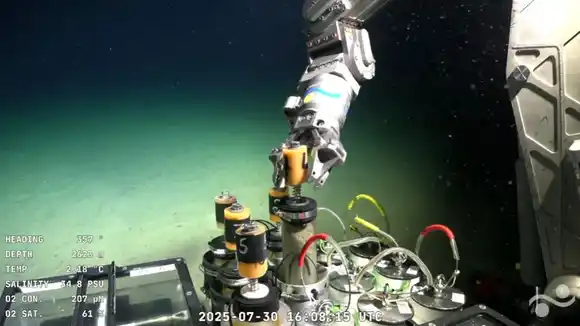 Impresionante expedición submarina en Mar del Plata: Transmisión en tiempo real de las profundidades marítimas