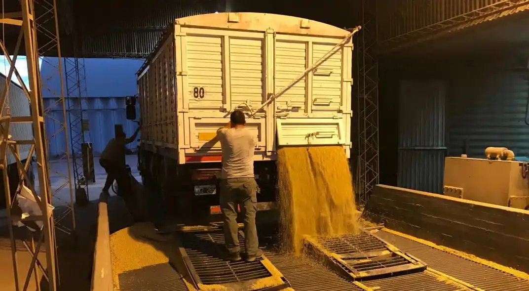 La cosecha nacional sería de 145 millones de toneladas