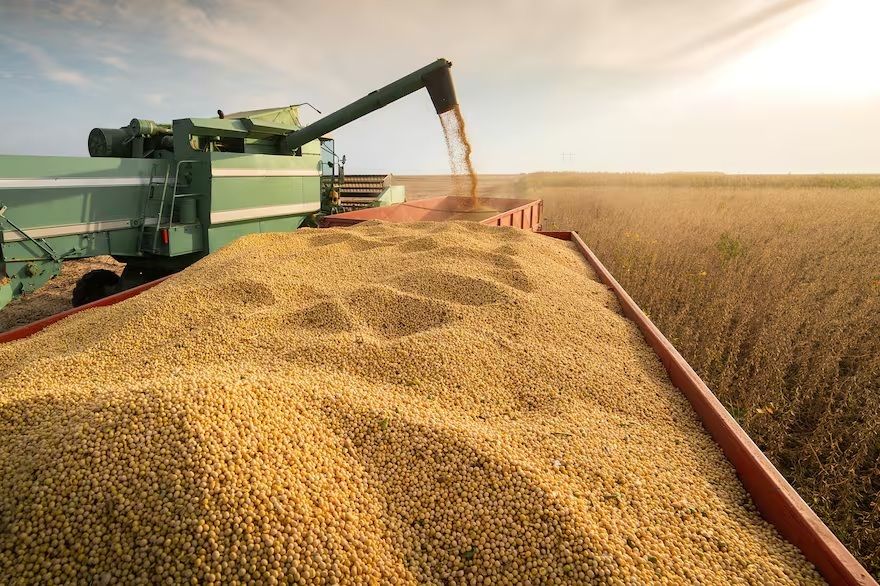 El Gobierno de Córdoba cuestionó a Javier Milei por la suba de retenciones al agro