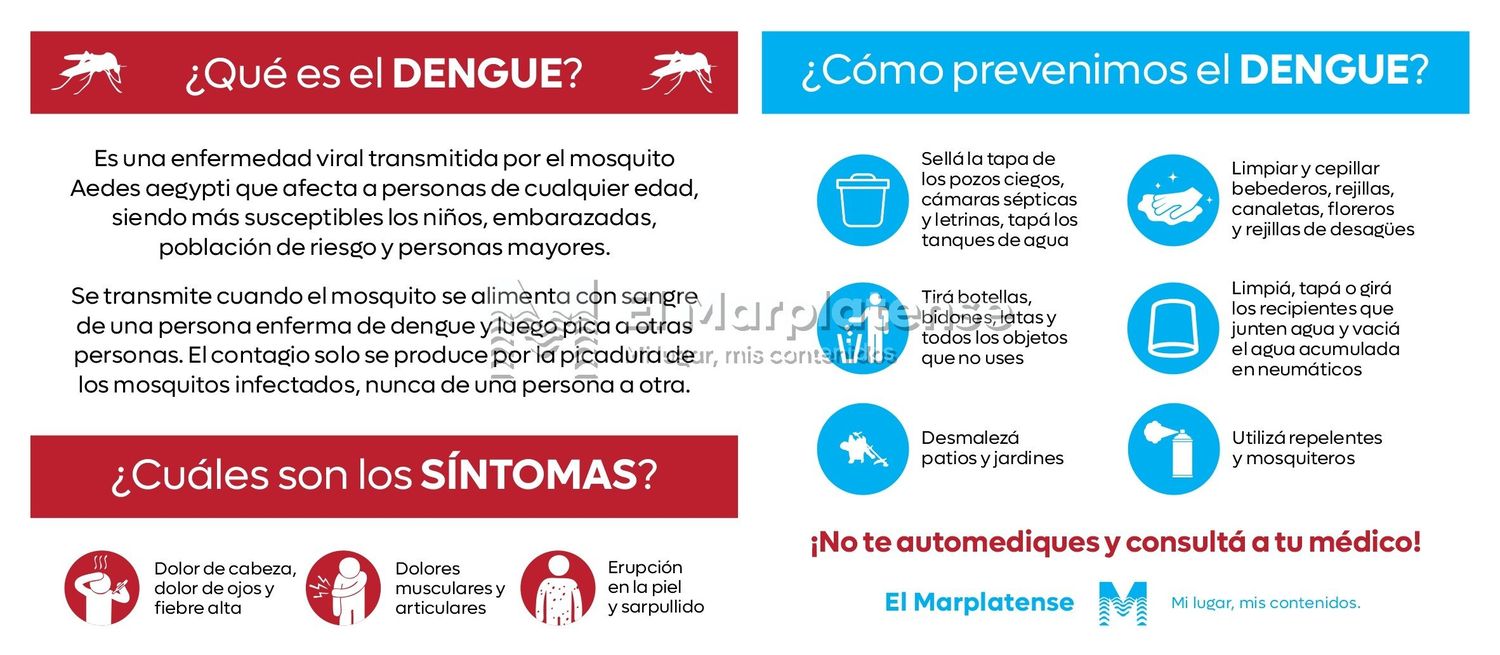 dengue placa