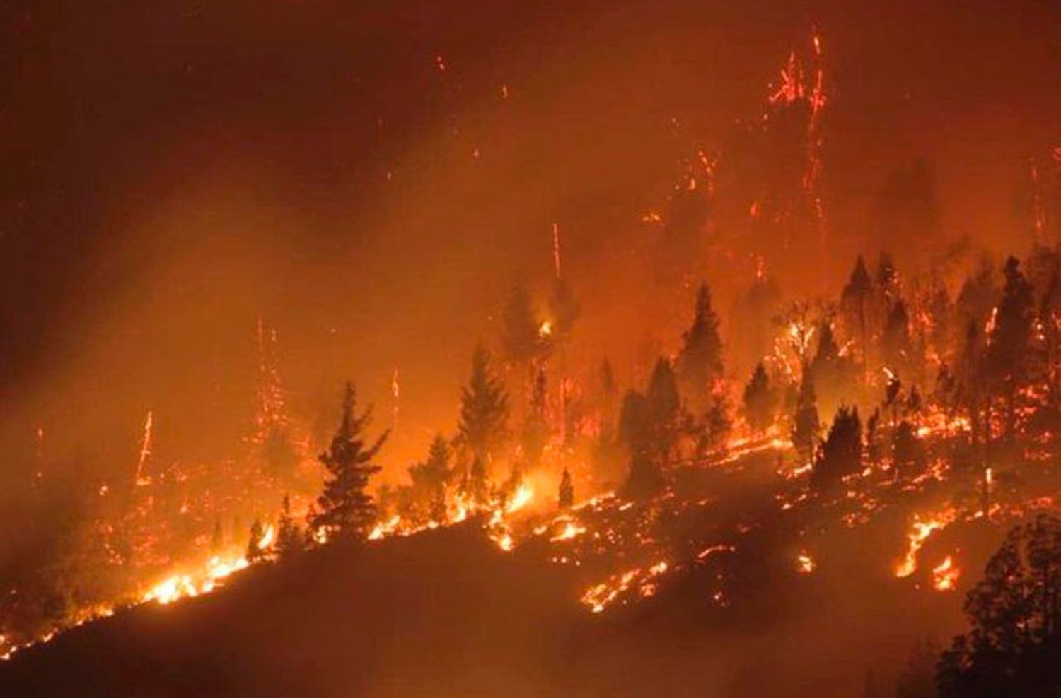 Impresionantes incendios en la Patagonia: investigan si el tendido eléctrico fue "el punto de origen"