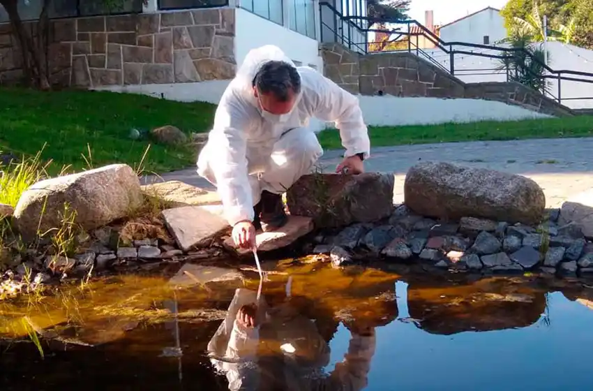 Aseguran que con el paso del tiempo, el dengue "va a ser una situación de cuidado en la ciudad"