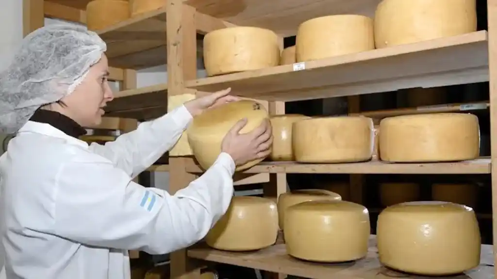 Mercado mundial del queso: una oportunidad para Argentina