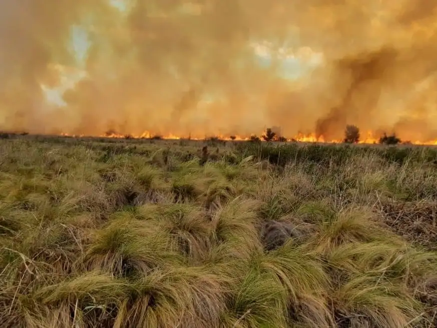 Alerta por riesgo alto de incendios en Córdoba por las altas temperaturas.