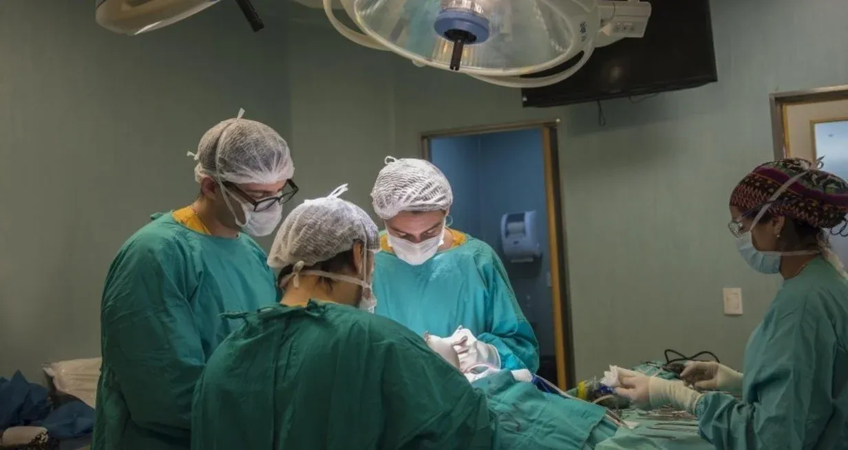 La procuración de órganos y tejidos es un acto altruista y solidario que permite mejorar la calidad de vida de muchas personas. Cada donante puede salvar múltiples vidas y brindar esperanza a aquellos que están en lista de espera para un trasplante.