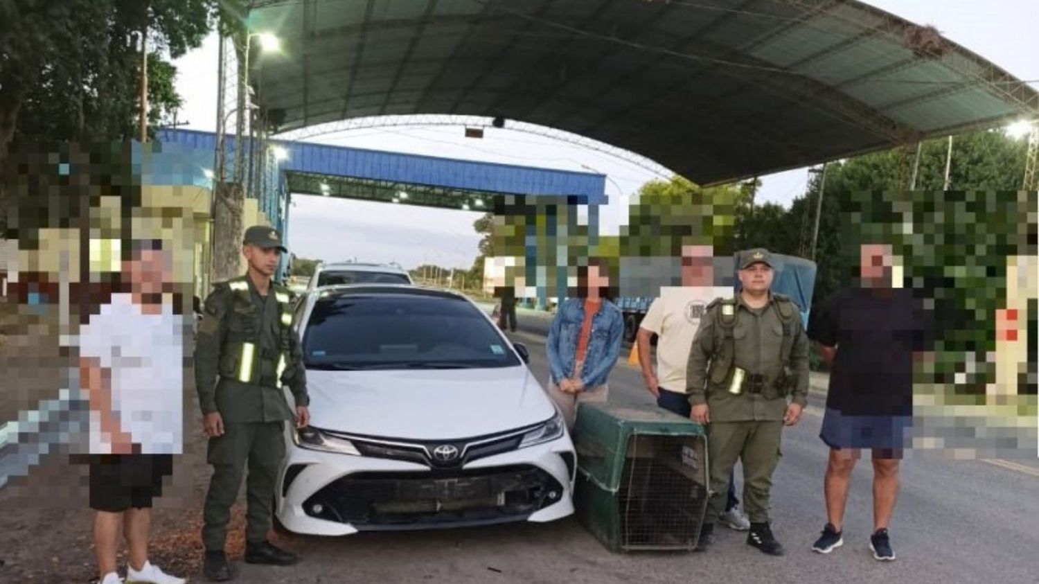Rescatan a un mono que era llevado en el paragolpes de un rodado