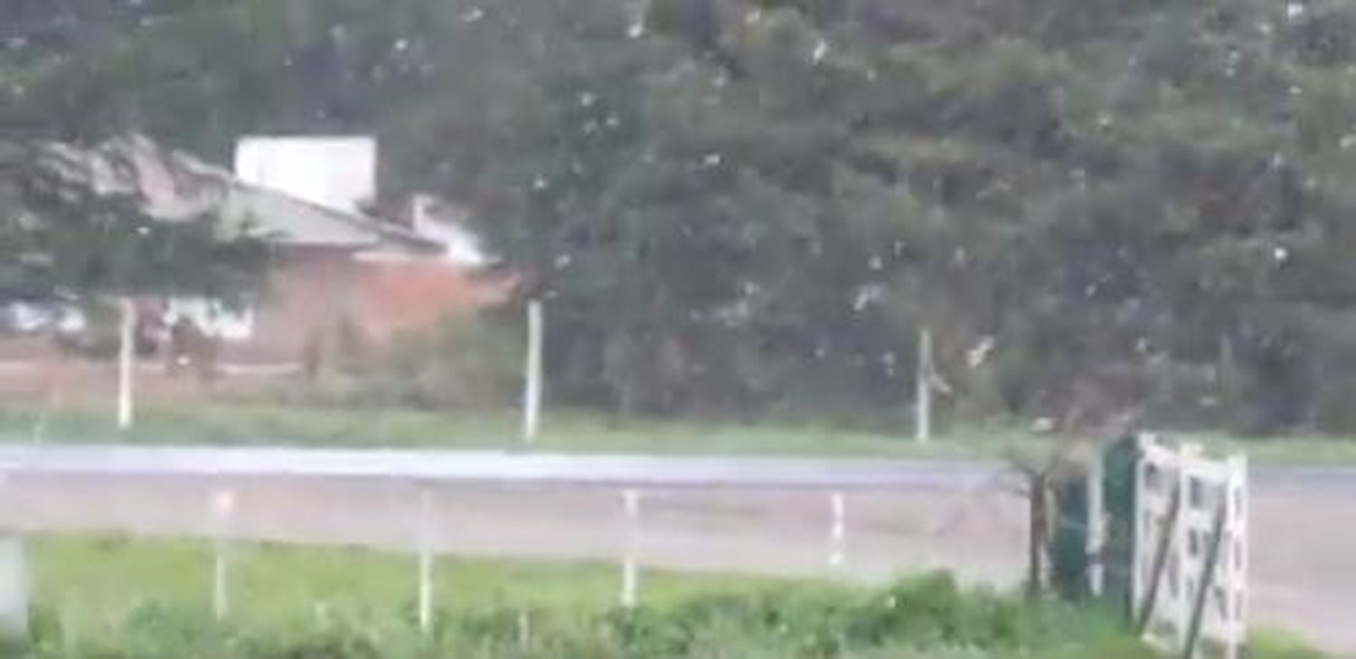 Video: Sorpresiva nieve de septiembre en Balcarce