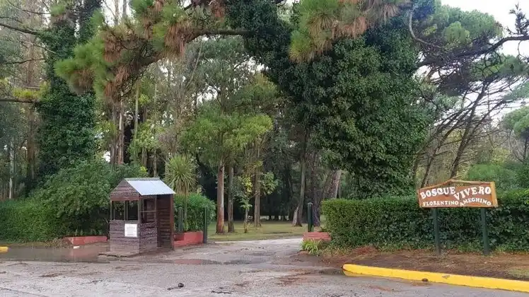 Miramar propone una Visita Guiada en el Bosque Vivero Florentino Ameghino.