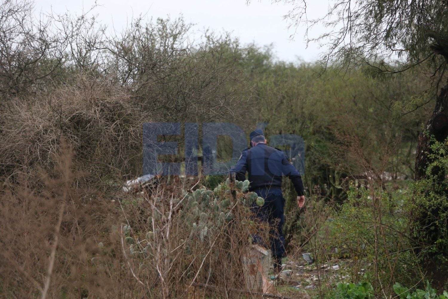 Dictaron 65 días de prisión preventiva para el presunto asesino de Arrúa