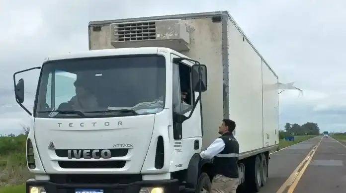 Decomisaron 400 kilos de pescado en la Ruta 14 por falta de medidas sanitarias