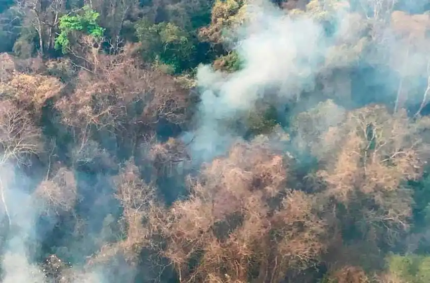 Intensa lucha contra el fuego en Jujuy, que ahora amenaza con afectar a la selva de yungas